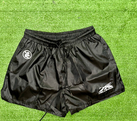 Hellstar Nylon Shorts