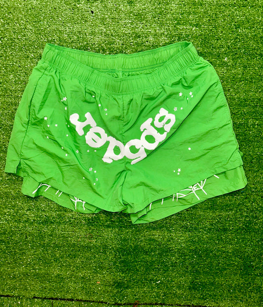 Sp5Der Shorts Green