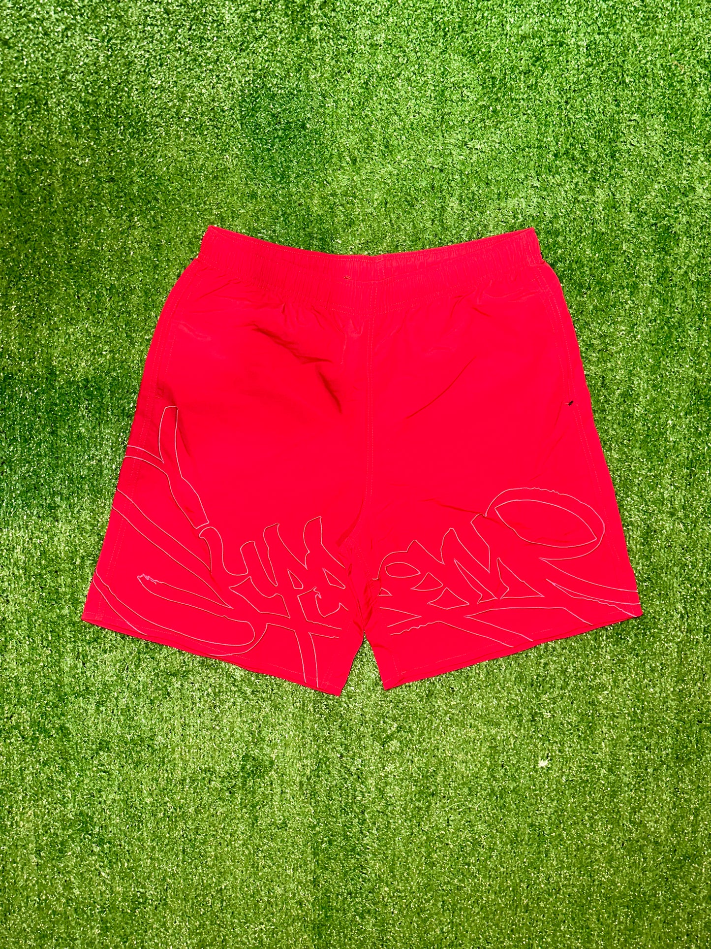 Supreme Nylon Shorts