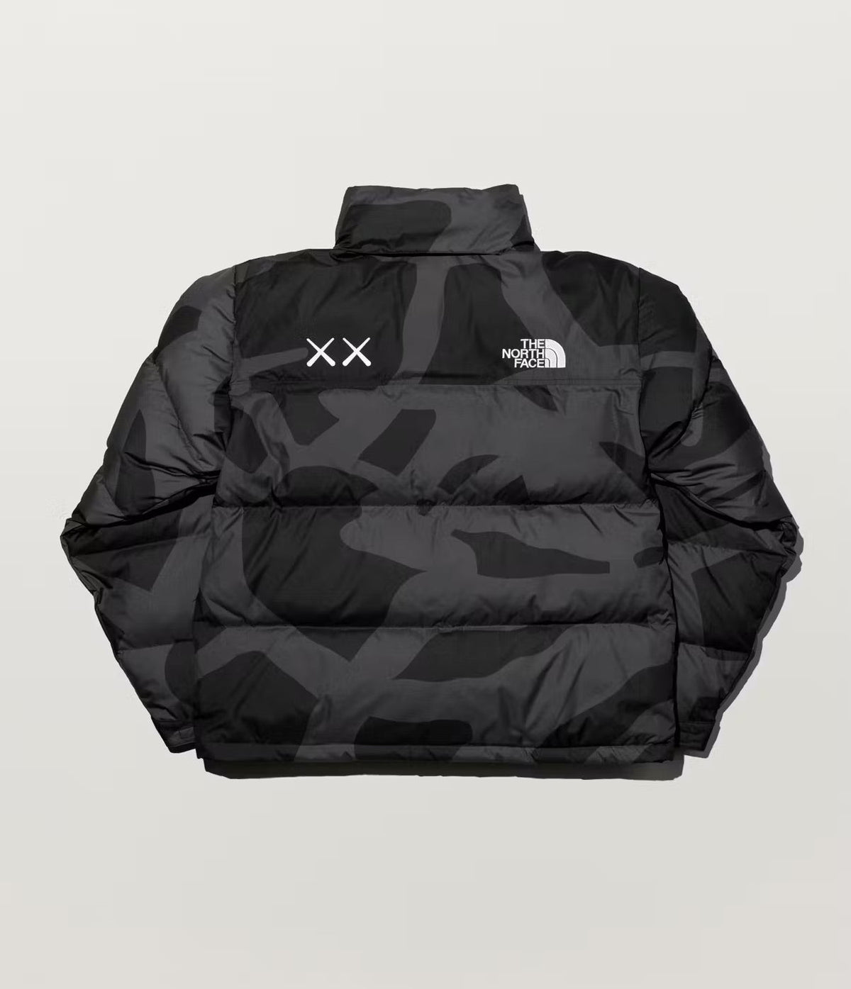 KAWS x The North Face Coat